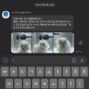 24시 위드유 동물의료센터 이미지