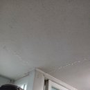 세븐일레븐 부산반여대림점 | [해운대 누수] 해운대 반여 대림아파트 누수, 베란다 물 떨어짐? 탐지부터 보험처리까지 한 번에 끝낸 후기