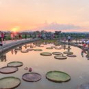 씽씽쏭쏭 이미지