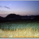 춘열농장 | 영산기맥 8구간(건김재-감적고개-발봉산-서해안 고속도로-23번국도).