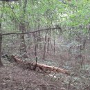 인천대공원(거수골) 이미지