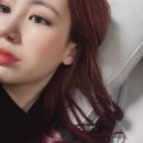 싱글멍글 이미지