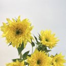 주흥15길 7 이미지