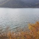 금평슈퍼 이미지