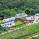 바우하우스 105 이미지