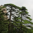 태평산장 이미지