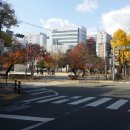서울민박 이미지