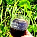 지리산벌꿀 햇 아카시아꿀 , 산딸기꿀 판매해요. 이미지