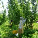 면사무소 이미지