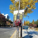 앙상블시어터 | [연극 리뷰] 성남아트센터 앙상블시어터 | 연극 <소작지> 후기 | 커튼콜