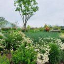 일월여정 이미지