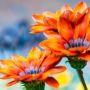 계양여성복지회관 이미지