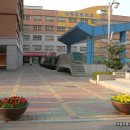 신평초교 이미지