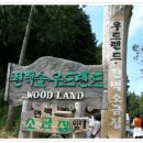 남도의 향기 이미지