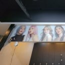 헤어칼리아 이미지