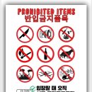 안정순환로 | 평택 미군부대 개방축제 험프리스 스프링 페스트 2025 방문후기
