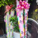 밴틀리라이브클럽 이미지