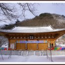 남도사계절
