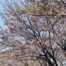 군자-1 (산들공원) 이미지
