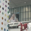 데이미언 허스트 국립 현대 미술관 서울