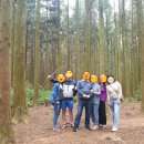 삼원장 | [강아지와 제주도 보름살기] :: DAY 3. 해안도로 드라이브 / 생갈치 전문점 삼원장 / 사려니숲길