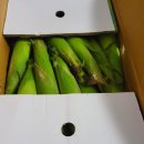 장연면사무소 | 2023 괴산그란폰도 자전거대회 이화령 메디오폰도 로드자전거추천