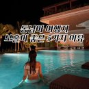 N.5 | 겨울은 동남아 여행의 시기! 보홀 n번가본 후기 찐매력 5