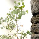 이음B 펜션 이미지