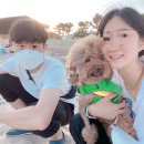 무주하우스 이미지