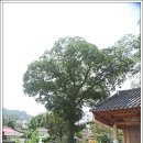 영암수성사 이미지