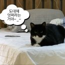 한국화A반 | 혹시 녹아버리더라도