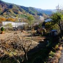 용강한의원 이미지