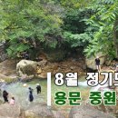 8월3일(토)8월 정기도보 용문 중원계곡 물놀이 이미지