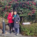 세계자동차&피아노박물관 이미지