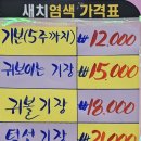 오늘염색 이미지