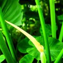 행운농장 이미지