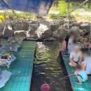 [담양 맛집] 광주근교 계곡 물놀이 백숙+송어회 맛집 담양 &#39;월산송어횟집&#39; 내돈내산 후기