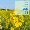 대천로마펜션 | 제주 여행 1박 2일 뚜벅이 제주 여행, 성산에 다녀왔다. #1일차