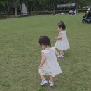 키즈텐 칼슘업 3종 선물세트 후기) 어린이 칼슘 유아 칼슘 마그네슘 키즈칼슘 영양제