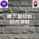 와니엘배팅센타 이미지