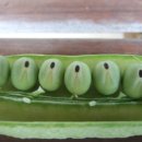 블루빈스 이미지