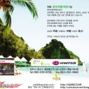 곰트래블여행사 티스토리