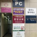 프레셔스독 | [강추!판교애견유치원]안심하고 맡길 수 있는 섬세한 케어의 애견유치원♥️(1)