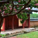 장수황씨종택 이미지