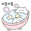 비채움뷰티