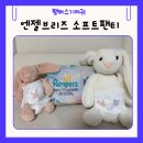 브리즈 | 팸퍼스 엔젤브리즈 소프트팬티 후기