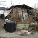 포리에이스 이미지