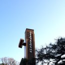 ★포항 구룡포 일본인 가옥 거리 탐방 후기, 이용시간과 역사, 여명의 눈동자 촬영지★
