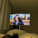 큐빅스 | 무빙큐빅스 삼탠바이미 중탠바이미 40인치 당근거래 후기 내돈내산