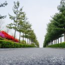 대전광역시 상수도사업본부 월평정수사업소 네이버블로그